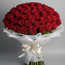 Букет 101 Красная роза Блэк Мэджик в Большом Царыне