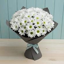 Букет цветов из:  Хризантемы #REPLACE_PRED# Большом Царыне