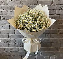 Букет цветов из:  Ромашки #REPLACE_PRED# Большом Царыне
